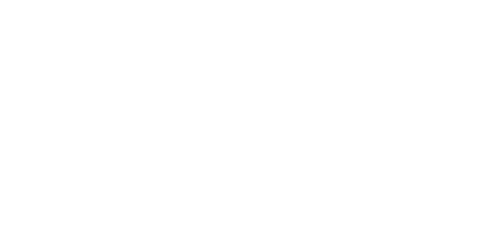 logo web
